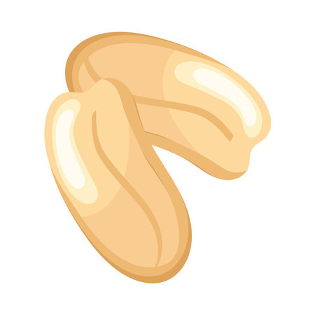 nuts seeds vegetableのイラスト素材