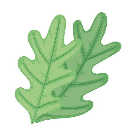 leafs plant ecologyのイラスト素材