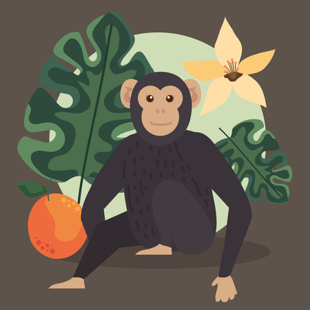 chimpanzee monkey in frame