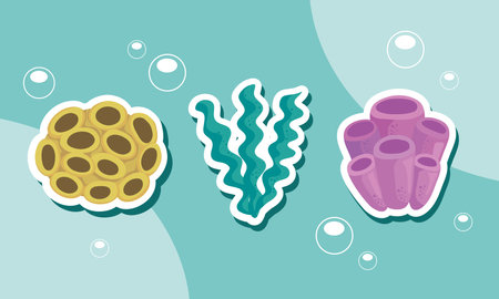 three coral reef iconsのイラスト素材