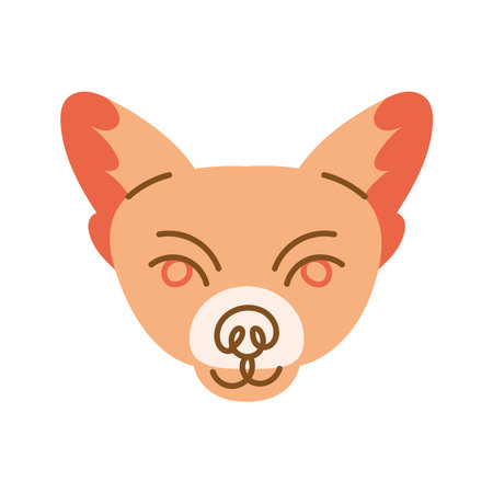 little chihuahua dogのイラスト素材