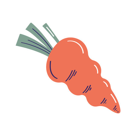 fresh carrot vegetableのイラスト素材