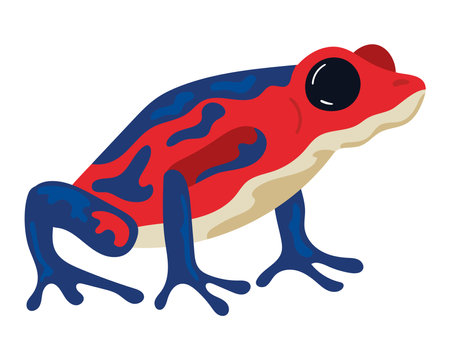 red and blue frogのイラスト素材