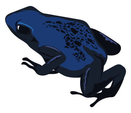 blue frog amphibianのイラスト素材