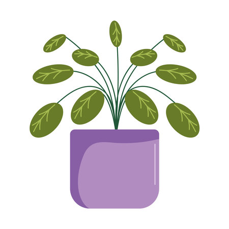 houseplant in purple potのイラスト素材