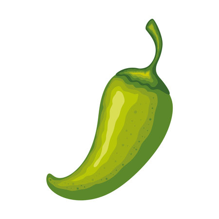 chili vegetable and spices for healthy cookingのイラスト素材