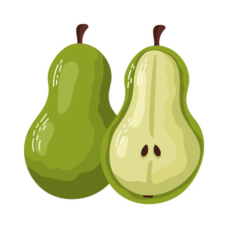 Ripe pear slice illustrationのイラスト素材