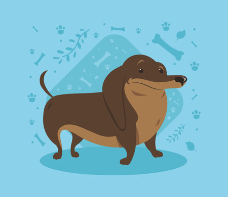 dachshund dog mascotのイラスト素材