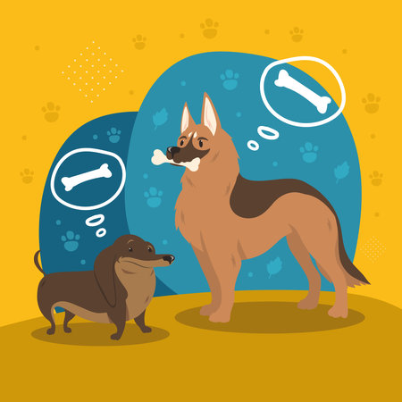 dachshund and german shepherd dogsのイラスト素材