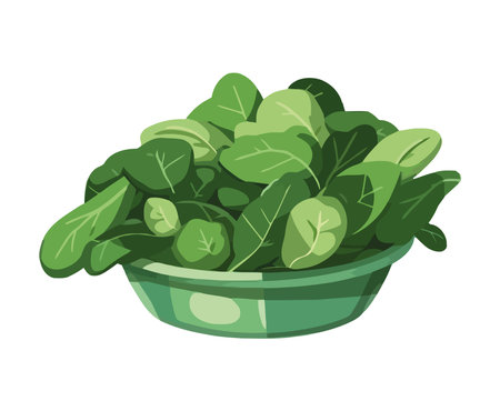 Fresh organic salad, a healthy vegetarian mealのイラスト素材