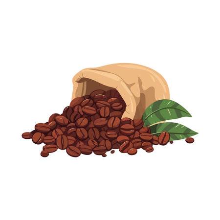 Fresh coffee bean illustration on organicのイラスト素材