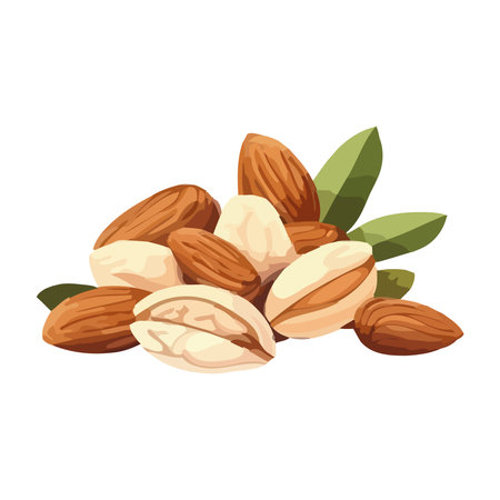 Healthy snack Almond, cashew and pecan mixのイラスト素材