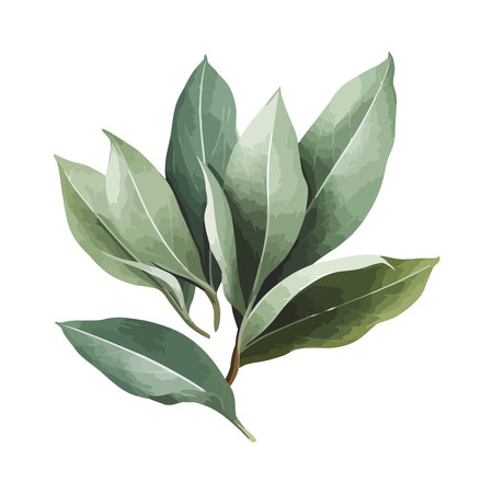 tree branch symbol of growth and natureのイラスト素材