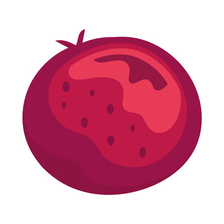 Organic fruit meal, fresh and healthy eatingのイラスト素材