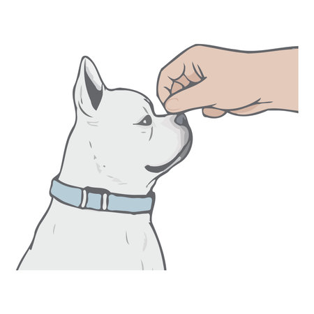 Cute cartoon puppy sketch, loyal friend watchingのイラスト素材