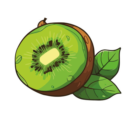 Juicy kiwi, fresh with leafのイラスト素材