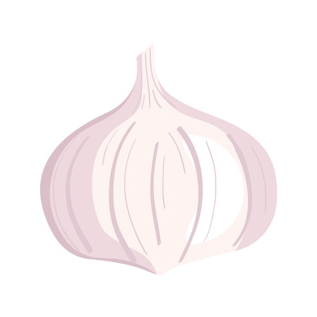 garlic fresh vegetable iconのイラスト素材