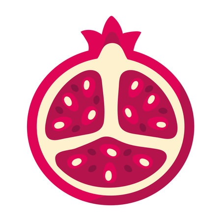 pomegranate fruit iconのイラスト素材