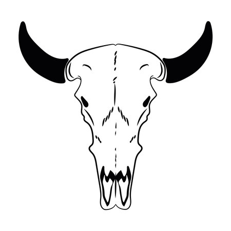 cowboy hand draw bull skullのイラスト素材