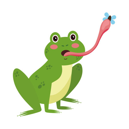 frog eating fly designのイラスト素材