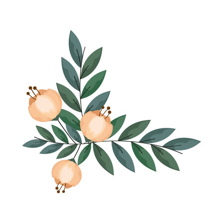 corner frame flowers illustrationのイラスト素材