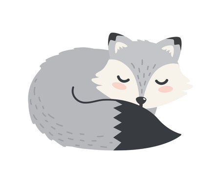 arctic animal foxのイラスト素材