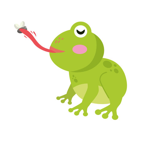 frog eating fly design vector isolatedのイラスト素材
