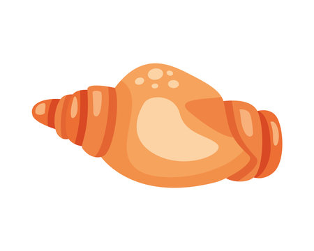orange seashell illustration vector isolatedのイラスト素材