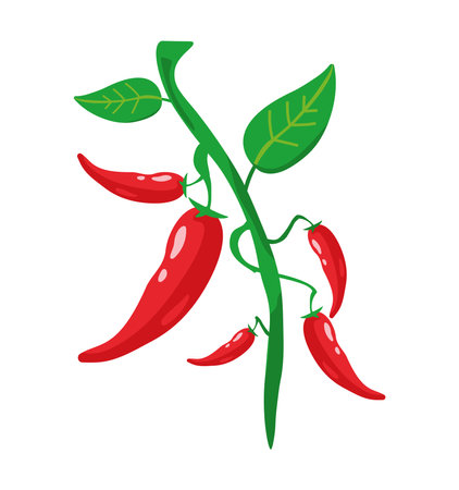 jalapeno and leavesのイラスト素材