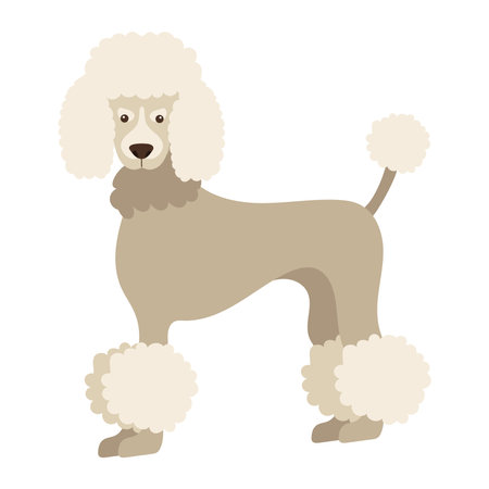 dog poodle design vector isolatedのイラスト素材