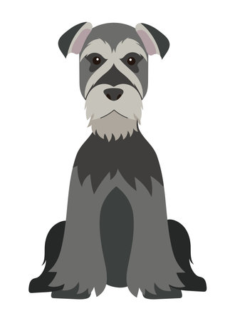 dog schnauzer illustration vector isolatedのイラスト素材