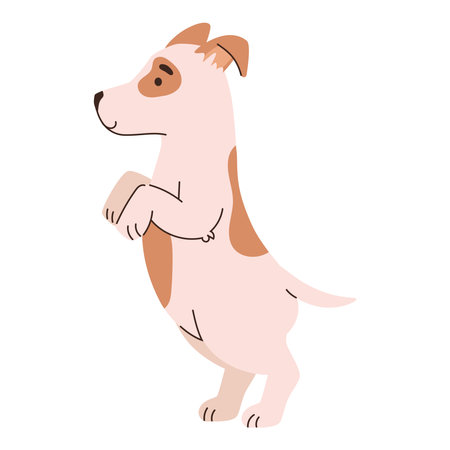 dog jack russell terrierのイラスト素材