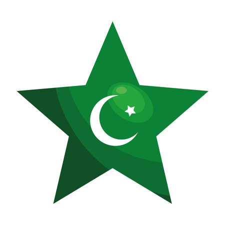 pakistan day flag star illustrationのイラスト素材