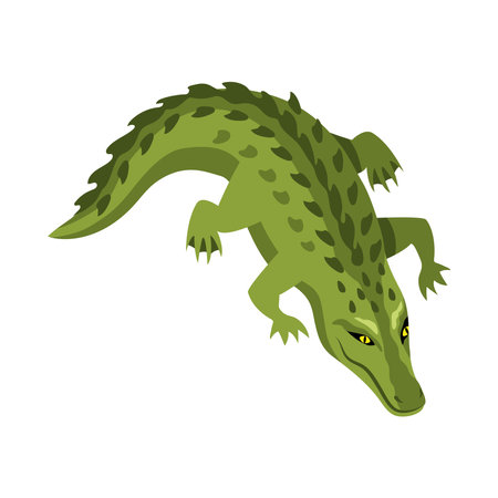 crocodile reptile animalのイラスト素材