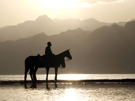 Sunset on Red Sea.Silhouettes of man and horses. Sinai mountains. Egypt.の写真素材