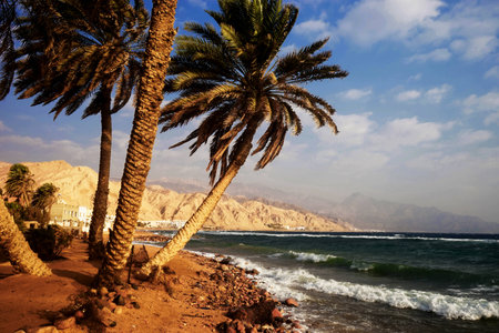 Coast of the Red Sea, in Gulf of Aqabaの写真素材