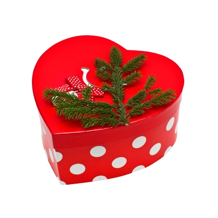Bright box with spruce branchの写真素材