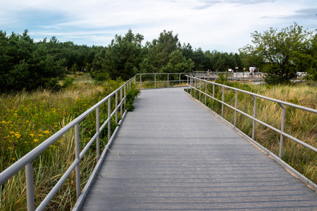 Ecological trail for walking on the Hel Spit.