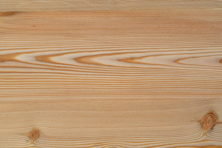 Wood texture of larch, close-upの写真素材