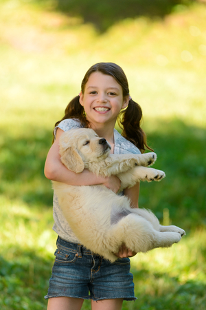 Girl carrying golden retriever pupの写真素材