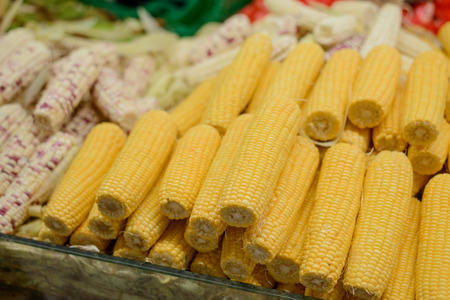 Different sorts of maizeの写真素材