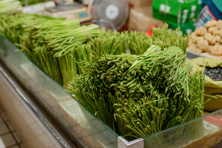 Batches of asparagusの写真素材