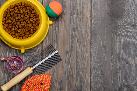 Cat food, toys and brushの写真素材