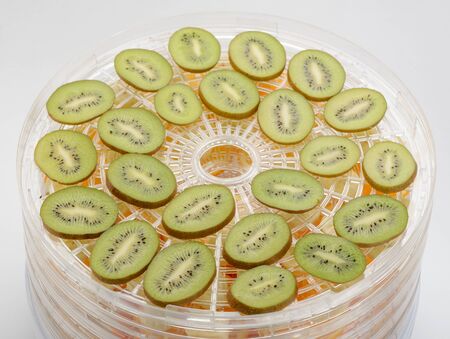 Kiwi slices spread in dehydratorの写真素材