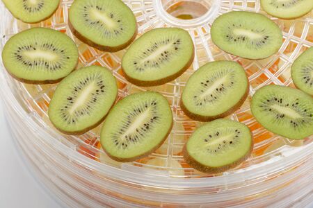 Kiwi slices on a dehydratorの写真素材