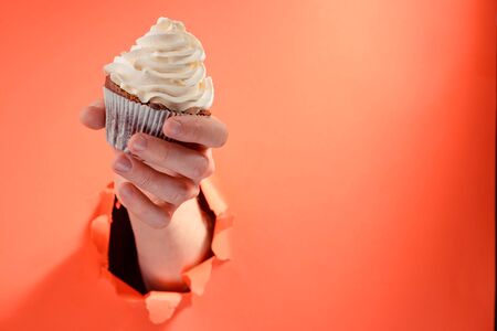 Hand giving a cupcake with buttercream swirl