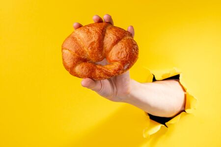 Hand showing a freshly baked croissant on yellow backgroundの写真素材