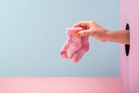 Womans hand holding pink baby socks on blue and pink backgroundの写真素材