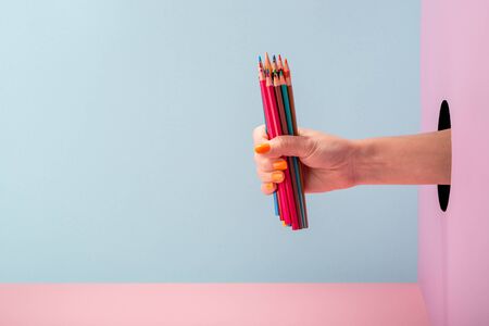 Womans hand holding a set of color pencils on blue and pink backgroundの写真素材