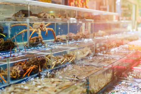 Row of tanks with crabs at a Chinese supermarket